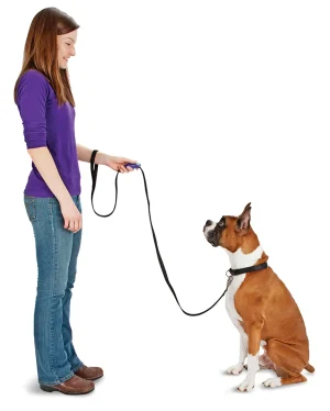 KLIKER - POMOČ PRI ŠOLANJU PSOV