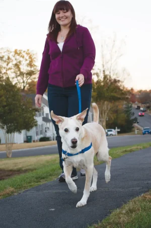 OPRSNICA / OPRTNICA ZA PSE