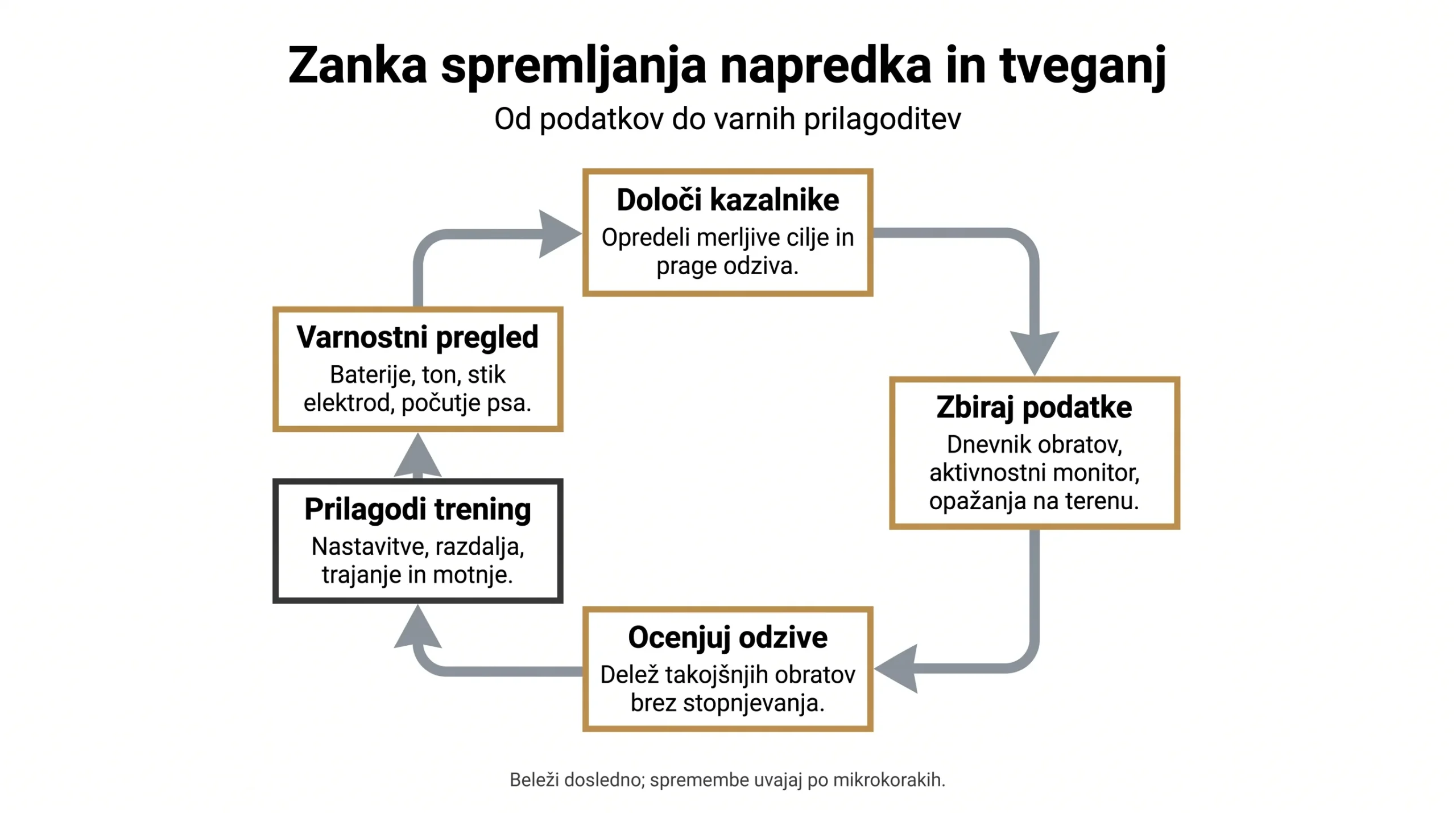 Zanka spremljanja napredka in tveganj